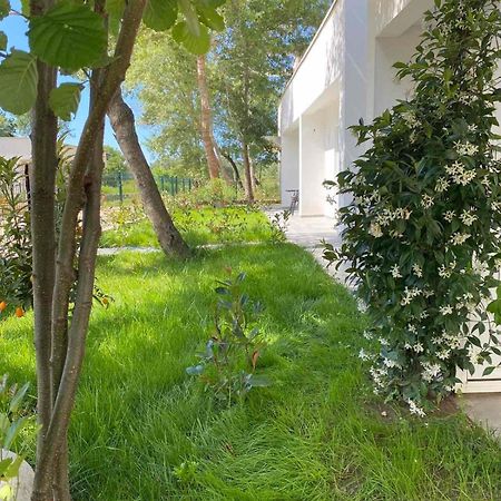 Villa Hanna Ulcinj Eksteriør billede