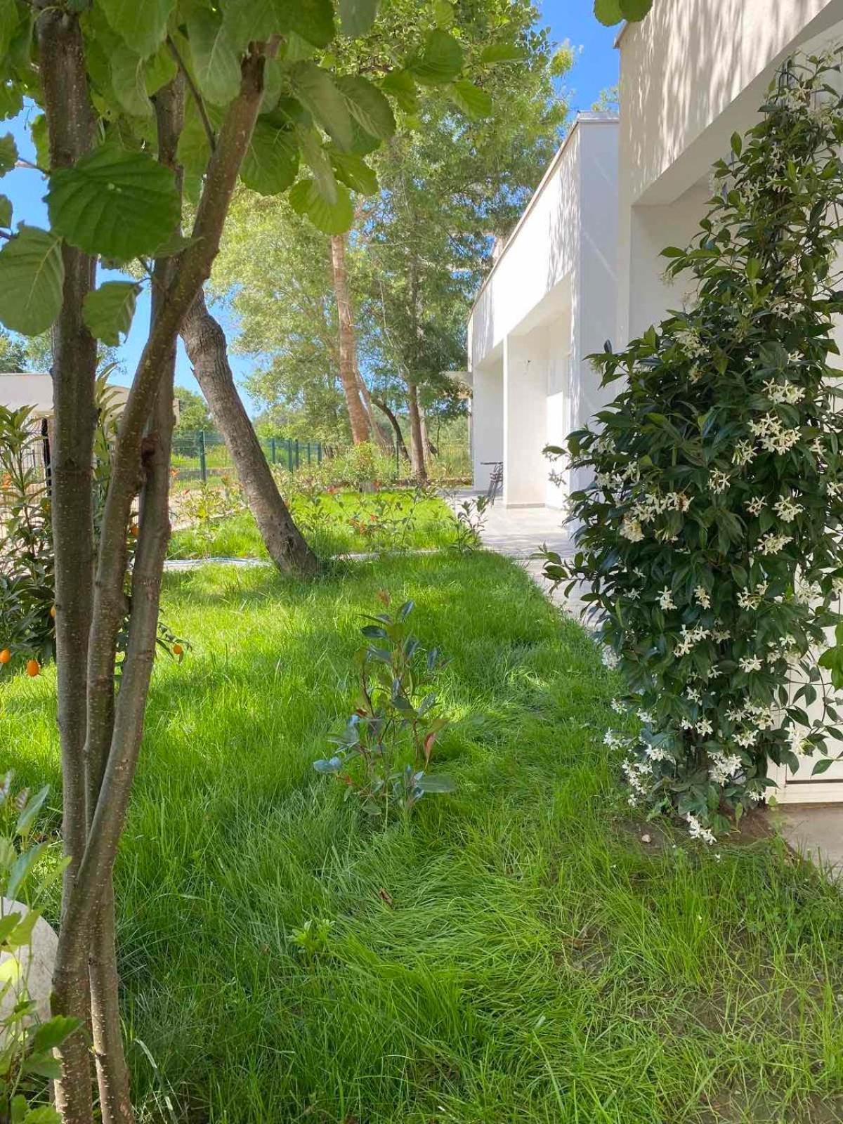 Villa Hanna Ulcinj Eksteriør billede